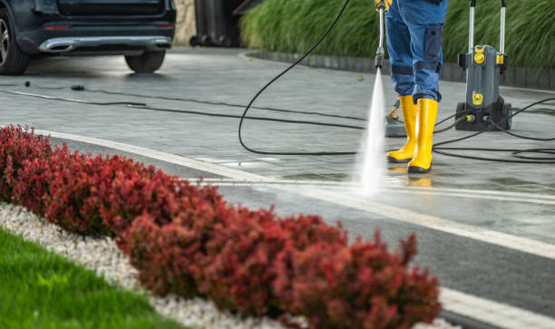 Best Dumpster Area Cleaning  in Lake Odessa, MI